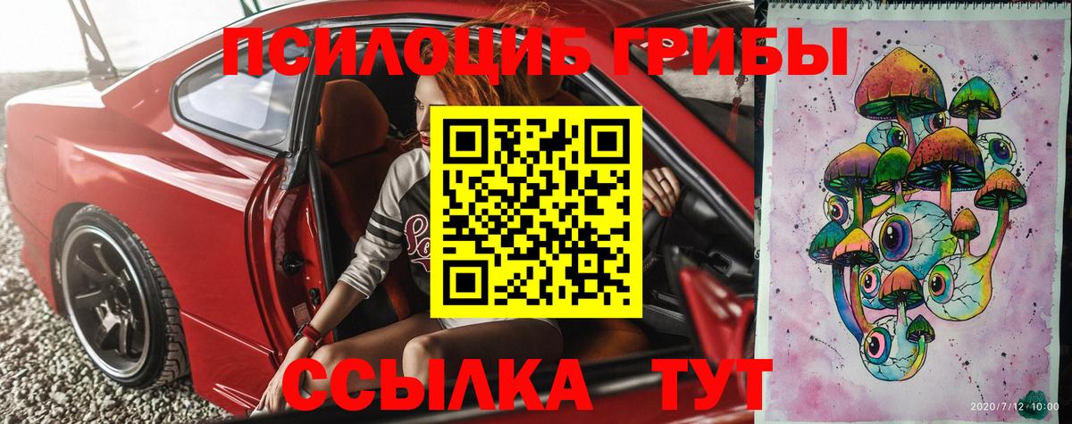 Богородицк  Псилоцибиновые грибы MAGIC MUSHROOMS  Вход с VPN 